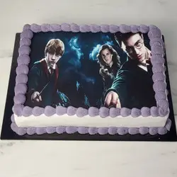 Τούρτα Harry Potter